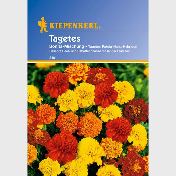 Tagetes 'Bonita-Mischung'
