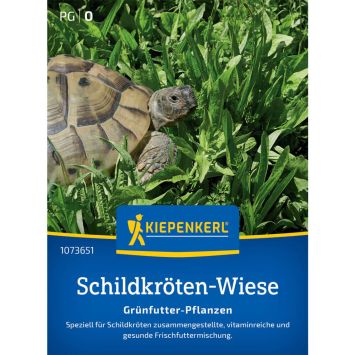 Schildkrötensamen-Mischung Grünfutter-Pflanzen
