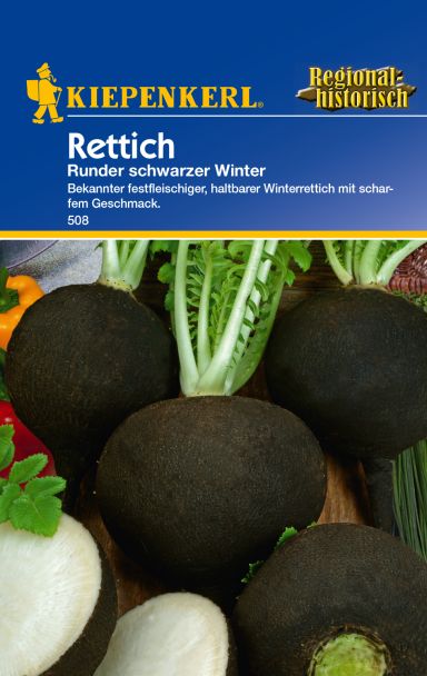 Rettich 'runder schwarzer Winter'
