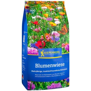 Kiepenkerl Blumen-Wiese Mischung, 1 kg