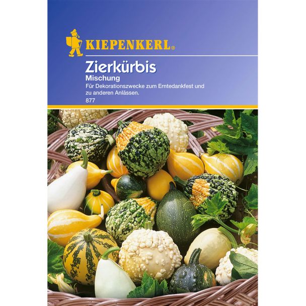 'Zierkürbis' Mischung