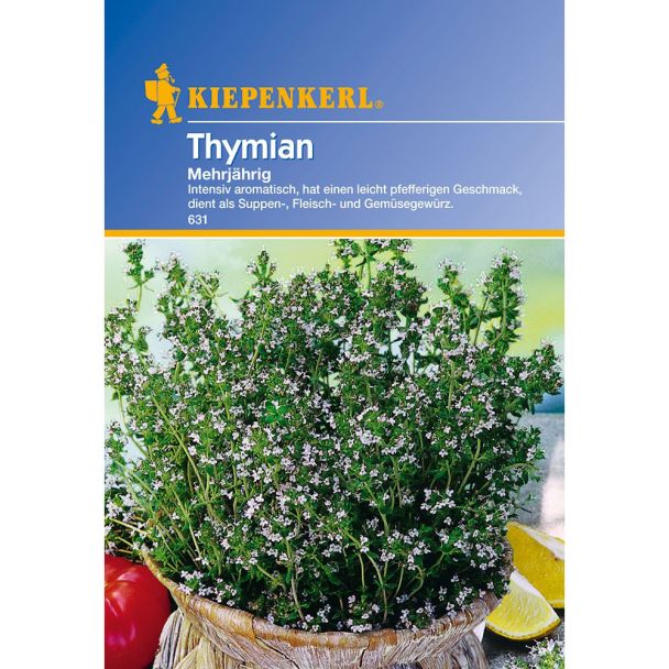 Thymian 'Mehrjährig'