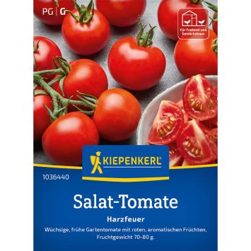 Tomaten 'Harzfeuer' - F1