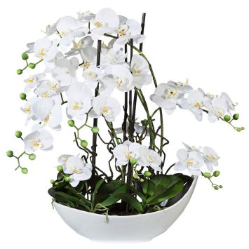 Kunstblume Phalaenopsisarrangement