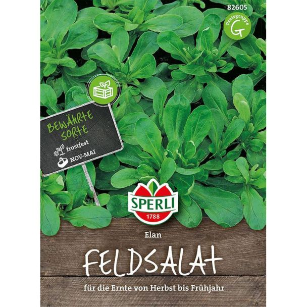 Feldsalat 'Elan'