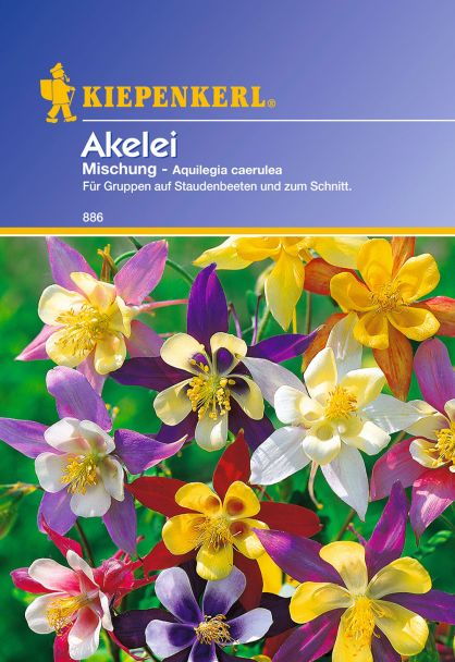 'Akelei' Mischung