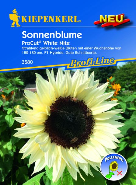 Sonnenblume ProCut® White Nite, F1-Hybride
