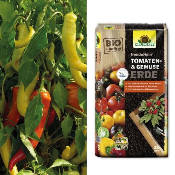 Setpreis: Sweet & Long – Milder Spitz-Paprika + 1 x NeudoHum® Tomaten- und Gemüseerde