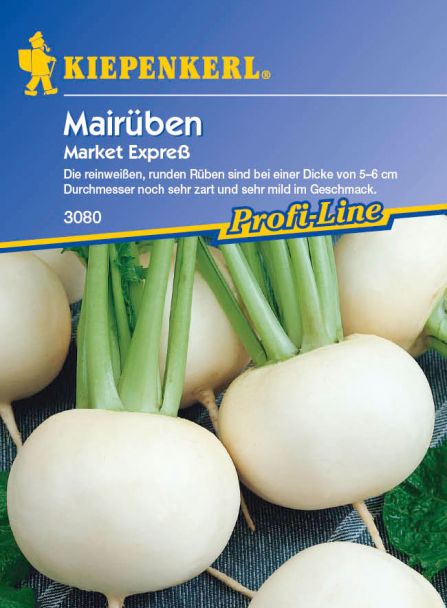 Rübchen 'Market Express'