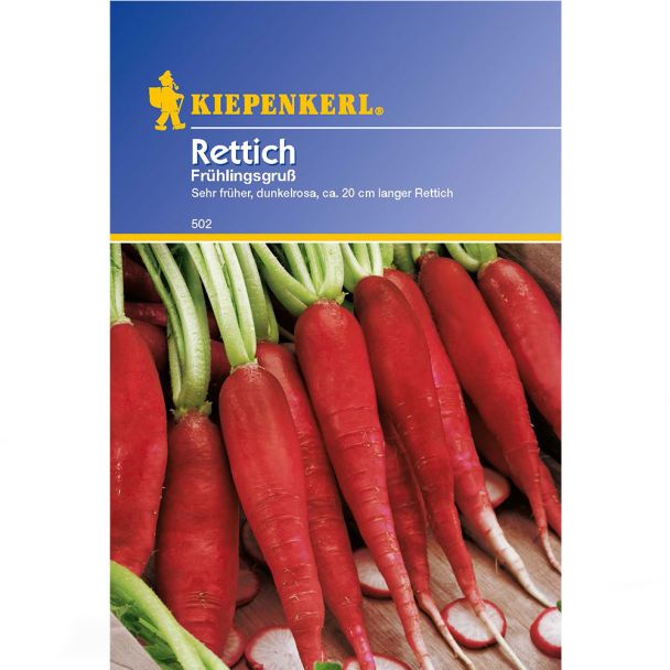 Rettich 'Frühlingsgruß'