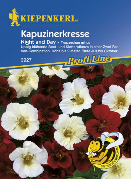 Kapuzinerkresse 'Night & Day'