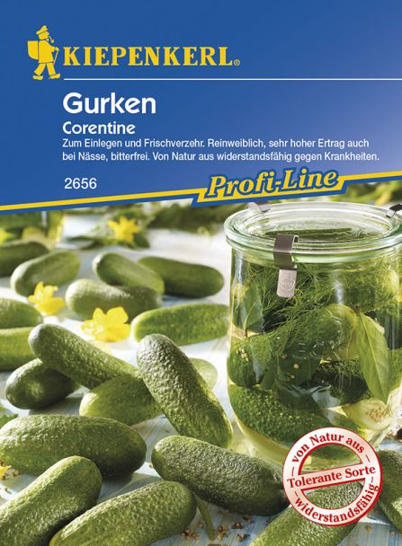 Gurke 'Corentine' (Einlegegurke), F1