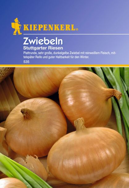 Zwiebeln 'Stuttgarter Riesen'