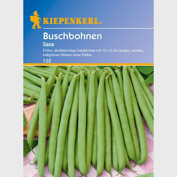 Buschbohnen 'Saxa'