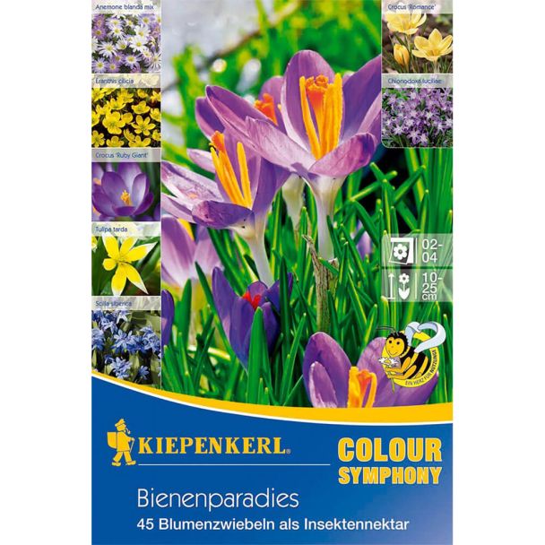 Farbsymphonien 'Bienenparadies'
