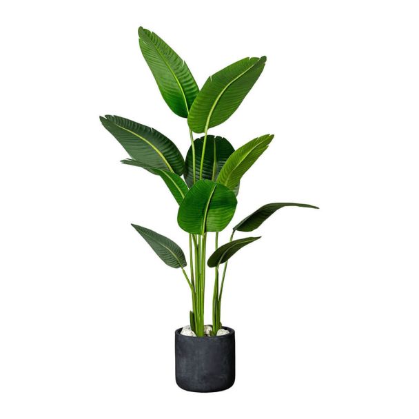 Kunstpflanze Strelitzia nicolai (ca. 160 cm)