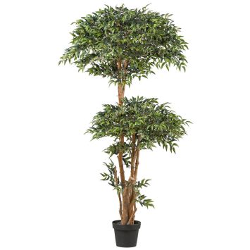 Kunstbaum Ruscus Kugelbaum (ca. 170 cm)