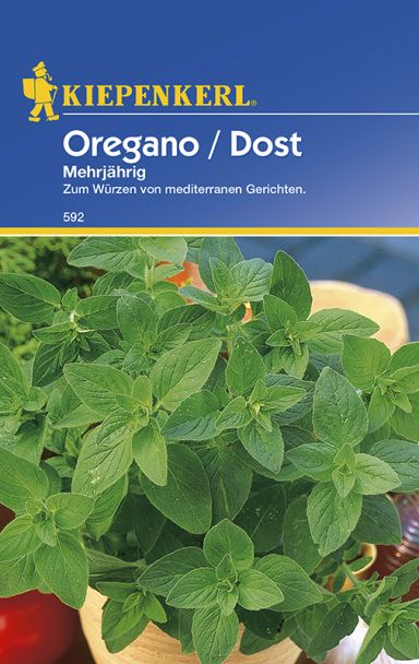 Oregano / Dost 'Mehrjährig'