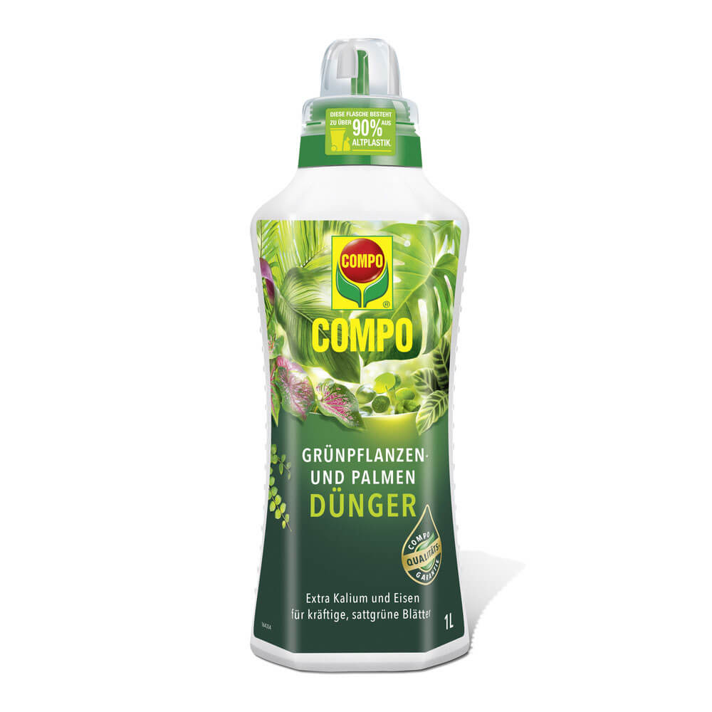 sumpfeiche düngen Sumpfeiche kaufen | Quercus palustris main image 0