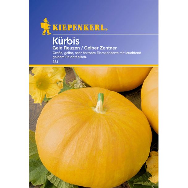 Kürbis Gele Reuzen 'Gelber Zentner'