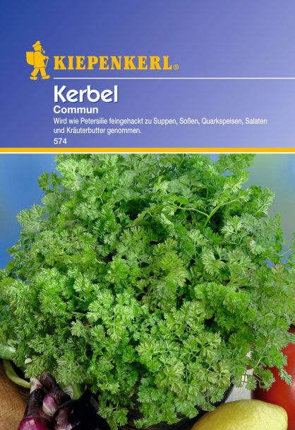 Kerbel 'Commun, einjährig'