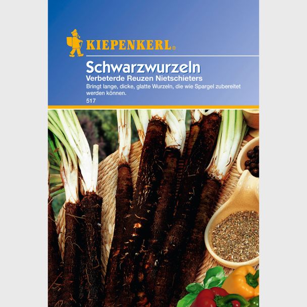 Schwarzwurzeln 'Verbeterde Reuzen'