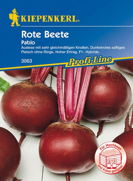 Rote Beete 'Pablo'