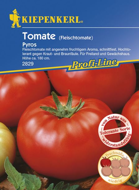 Tomaten 'Pyros' (Fleischtomate) - F1-Hybride