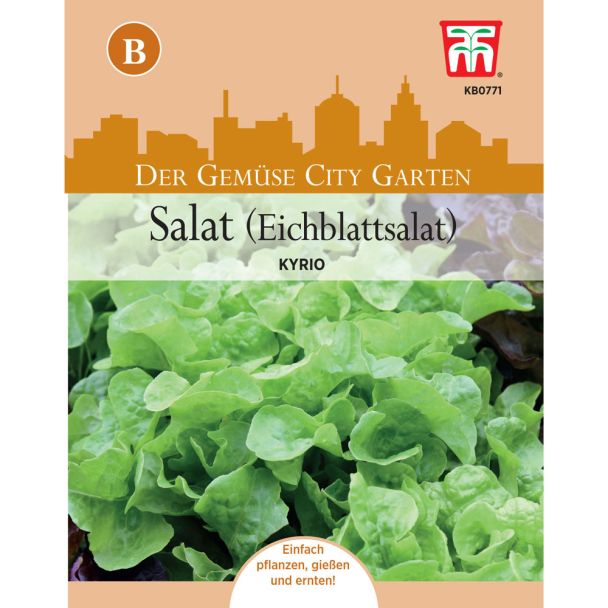 Eichblattsalat Kyrio
