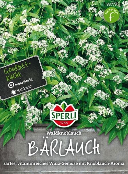 Bärlauch 'Waldknoblauch'