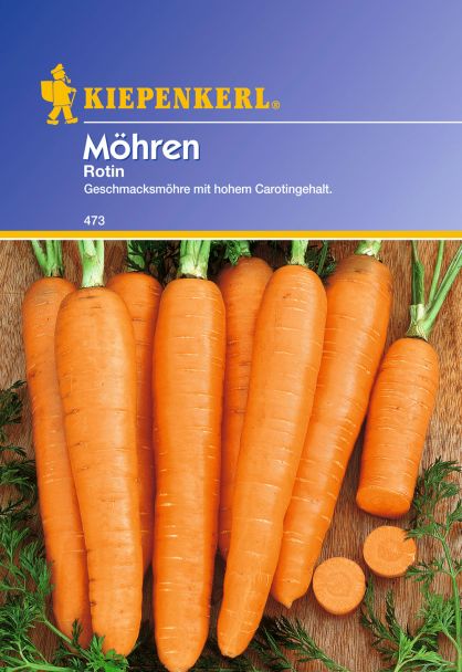 Möhren 'Rotin'